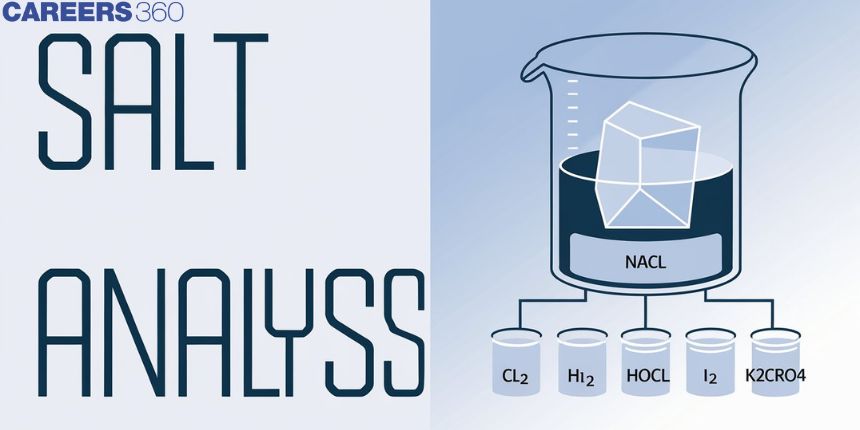 Salt Analysis - Process, Shortcuts to Identify Ions, FAQs